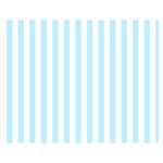 Vertical Stripes - White and Light Blue Double Sided Flano Blanket (Medium)