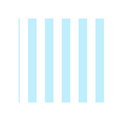 Vertical Stripes Front Inside