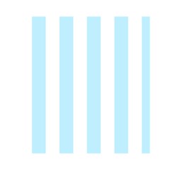 Vertical Stripes Front Inside