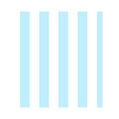 Vertical Stripes Back Inside