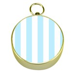 Vertical Stripes - White and Light Blue Gold Compass