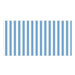 Vertical Stripes - White and Iceberg Blue Satin Shawl