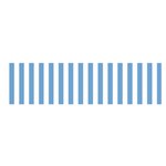 Vertical Stripes - White and Iceberg Blue Satin Scarf (Oblong)
