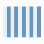 Vertical Stripes - White and Iceberg Blue Small Glasses Cloth (2 Sides)