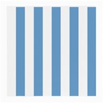 Vertical Stripes - White and Iceberg Blue Medium Glasses Cloth (2 Sides)