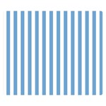 Vertical Stripes - White and Iceberg Blue Double Sided Flano Blanket (Small)