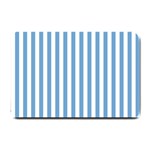 Vertical Stripes - White and Iceberg Blue Small Doormat