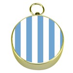 Vertical Stripes - White and Iceberg Blue Gold Compass