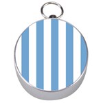 Vertical Stripes - White and Iceberg Blue Silver Compass