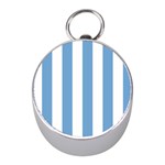Vertical Stripes - White and Iceberg Blue Silver Compass (Mini)