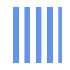 Vertical Stripes Front Inside
