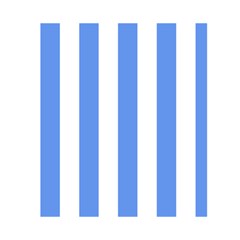 Vertical Stripes Back Inside
