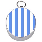 Vertical Stripes - White and Cornflower Blue Silver Compass