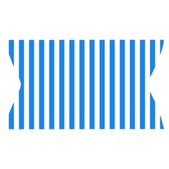 Vertical Stripes Waistband Front