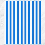 Vertical Stripes - White and Dodger Blue Canvas 8  x 10 