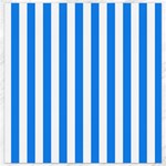 Vertical Stripes - White and Dodger Blue Canvas 16  x 16 