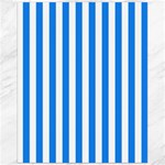 Vertical Stripes - White and Dodger Blue Canvas 16  x 20 