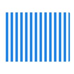 Vertical Stripes - White and Dodger Blue Double Sided Flano Blanket (Mini)