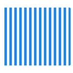 Vertical Stripes - White and Dodger Blue Double Sided Flano Blanket (Small)