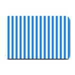 Vertical Stripes - White and Dodger Blue Small Doormat