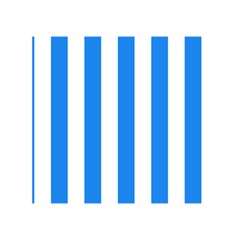 Vertical Stripes Back Inside