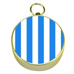 Vertical Stripes - White and Dodger Blue Gold Compass