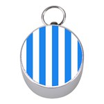Vertical Stripes - White and Dodger Blue Silver Compass (Mini)