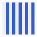 Vertical Stripes - White and Royal Blue Medium Glasses Cloth