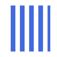 Vertical Stripes Front Inside