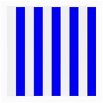 Vertical Stripes - White and Blue Medium Glasses Cloth