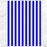 Vertical Stripes - White and Blue Canvas 18  x 24 