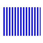 Vertical Stripes - White and Blue Double Sided Flano Blanket (Mini)