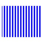 Vertical Stripes - White and Blue Double Sided Flano Blanket (Large)