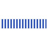 Vertical Stripes - White and Cerulean Blue Flano Scarf (Small)