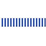 Vertical Stripes - White and Cerulean Blue Flano Scarf (Large)