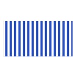 Vertical Stripes - White and Cerulean Blue Satin Shawl