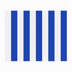 Vertical Stripes - White and Cerulean Blue Small Glasses Cloth (2 Sides)