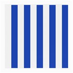 Vertical Stripes - White and Cerulean Blue Medium Glasses Cloth (2 Sides)