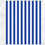 Vertical Stripes - White and Cerulean Blue Canvas 8  x 10 