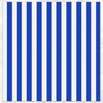 Vertical Stripes - White and Cerulean Blue Canvas 12  x 12 