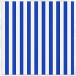 Vertical Stripes - White and Cerulean Blue Canvas 16  x 16 