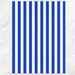 Vertical Stripes - White and Cerulean Blue Canvas 18  x 24 