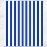 Vertical Stripes - White and Cerulean Blue Canvas 20  x 24 