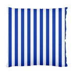 Vertical Stripes - White and Cerulean Blue Standard Cushion Case (Two Sides)