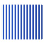 Vertical Stripes - White and Cerulean Blue Double Sided Flano Blanket (Small)