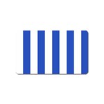 Vertical Stripes - White and Cerulean Blue Magnet (Name Card)