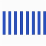 Vertical Stripes - White and Cerulean Blue 4  x 8  Photo Cards