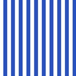 Vertical Stripes - White and Cerulean Blue ScrapBook Page 12  x 12 