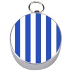 Vertical Stripes - White and Cerulean Blue Silver Compass