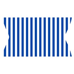 Vertical Stripes Waistband Front